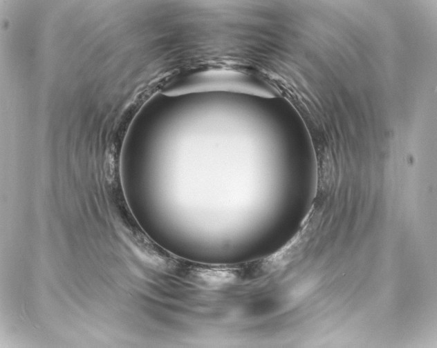 X0000088130183200705141451