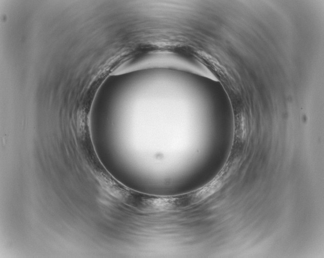 X0000088130184200705141451