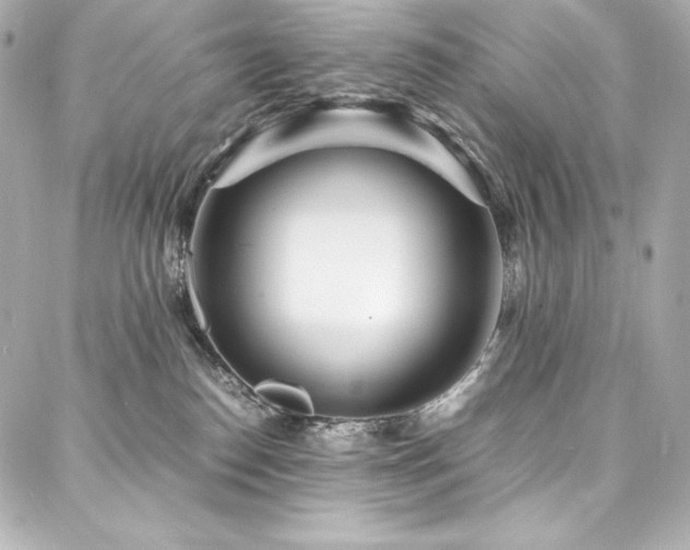 X0000088130186200705141451
