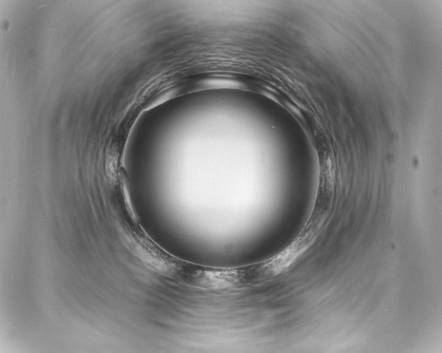 X0000088130188200705141451