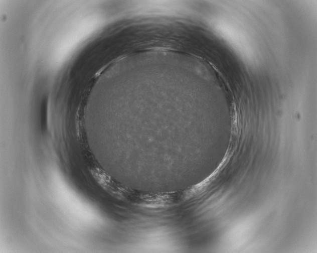 X0000088130191200705141451