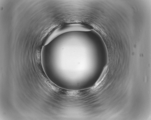 X0000088130192200705141451