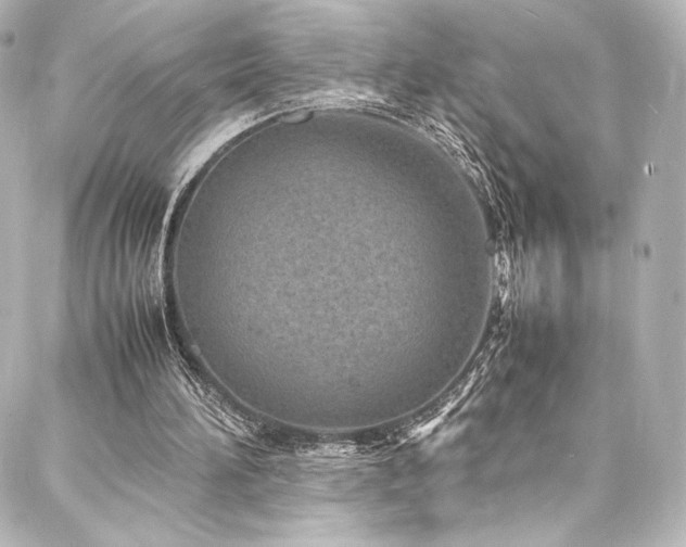 X0000088130196200705141451