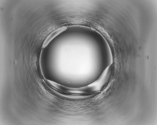 X0000088130201200705141450