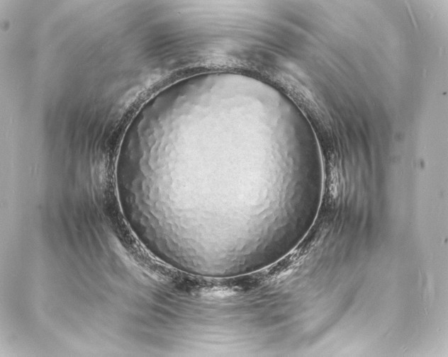 X0000088130208200705141450