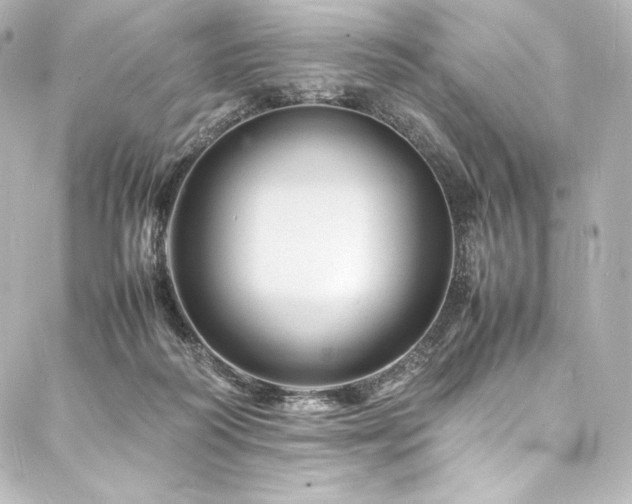 X0000088130218200705141450