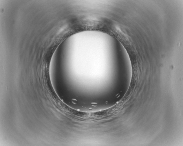 X0000088130225200705141450
