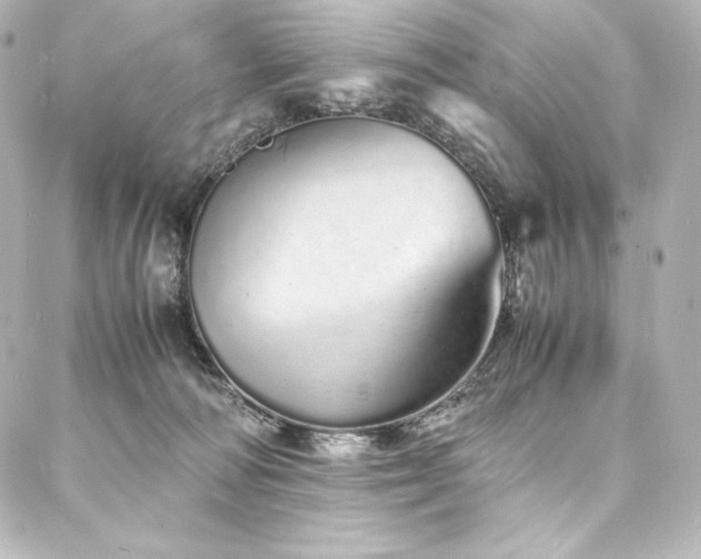 X0000088130226200705141450