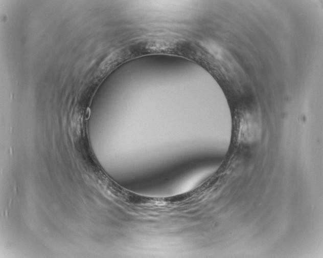 X0000088130227200705141450