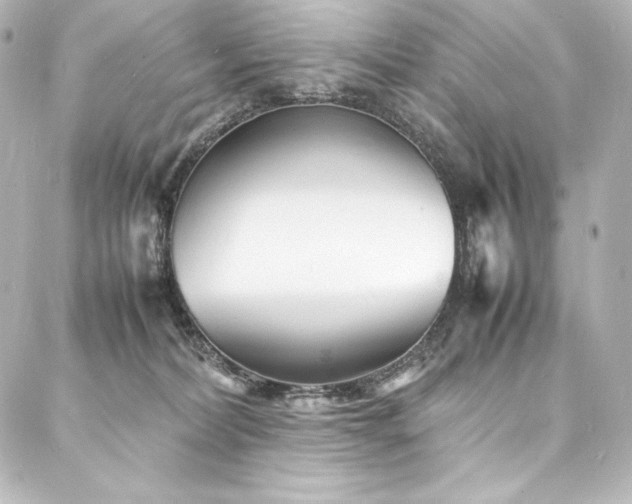 X0000088130228200705141450