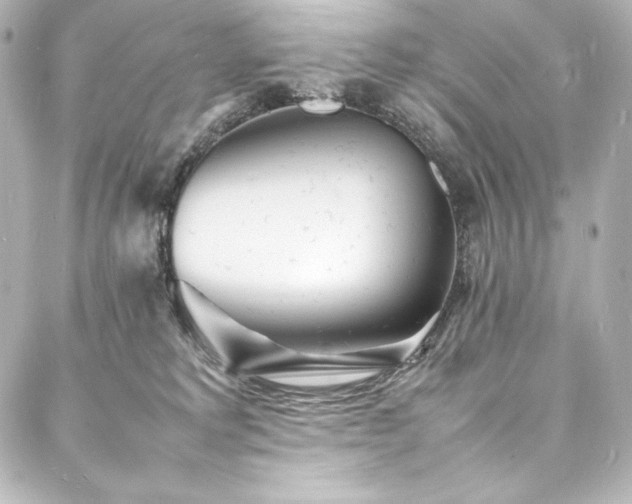 X0000088130229200705141450