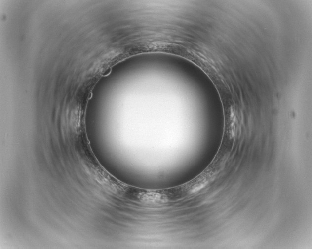 X0000088130230200705141450