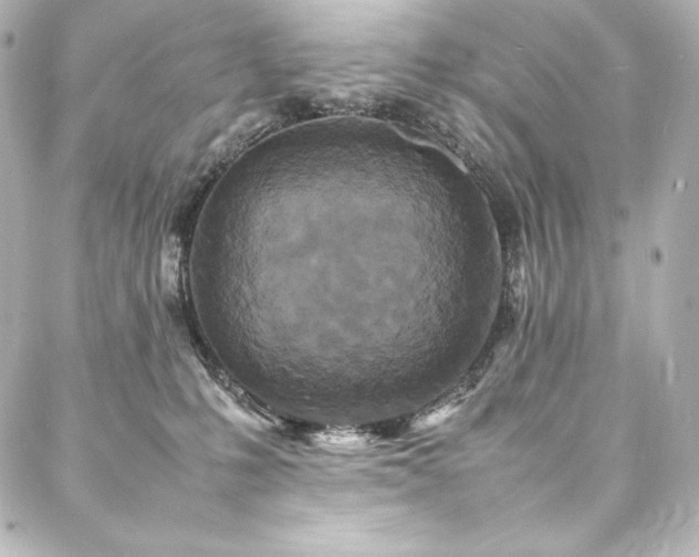 X0000088130231200705141450