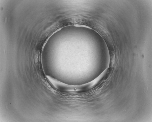 X0000088130233200705141450