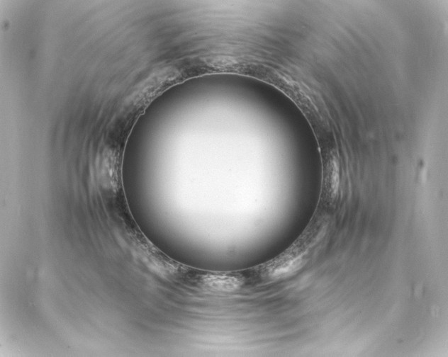 X0000088130234200705141450