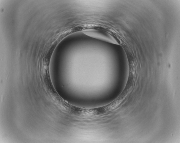 X0000088130235200705141450