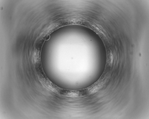 X0000088130236200705141450