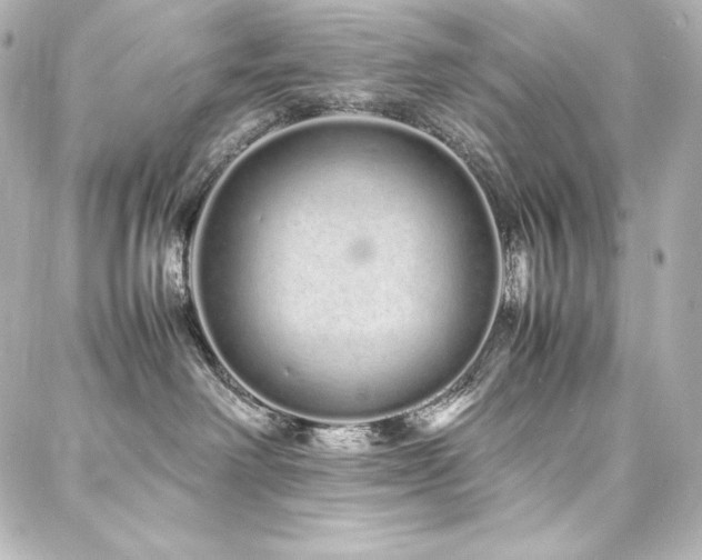 X0000088130238200705141450