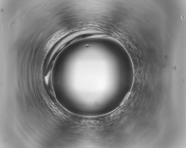 X0000088130242200705141449