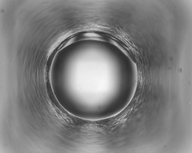 X0000088130244200705141449