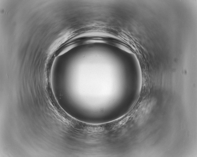 X0000088130245200705141449