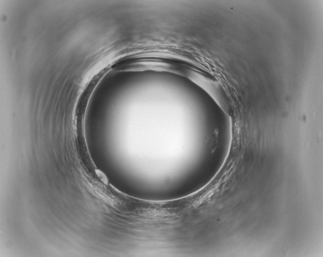 X0000088130246200705141449
