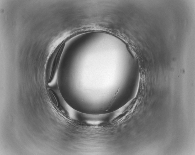 X0000088130248200705141449