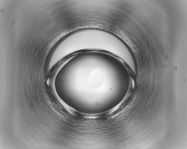 X0000088130252200705141449