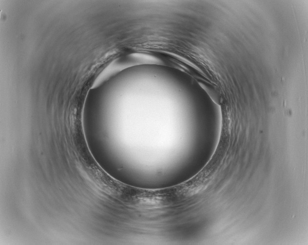 X0000088130263200705141449