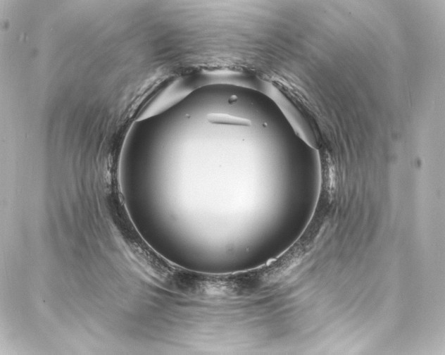 X0000088130264200705141449