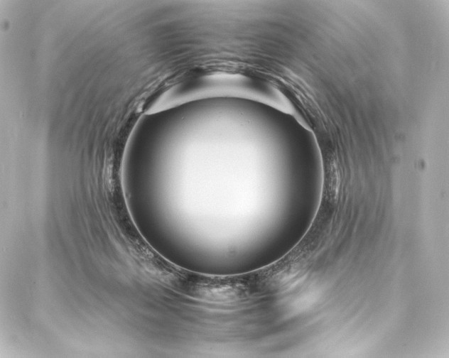 X0000088130267200705141449