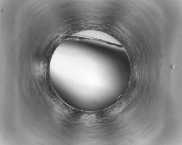 X0000088130271200705141450