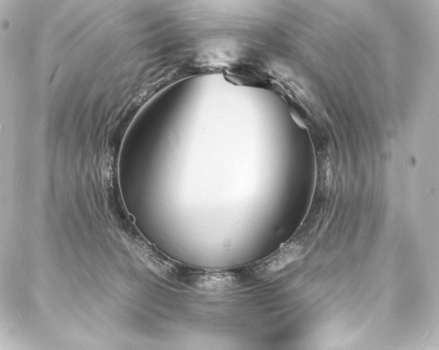 X0000088130274200705141450