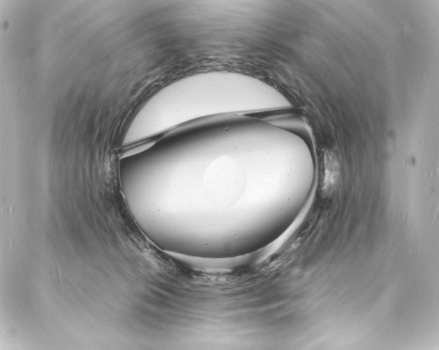 X0000088130276200705141450