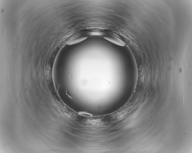 X0000088130283200705141450
