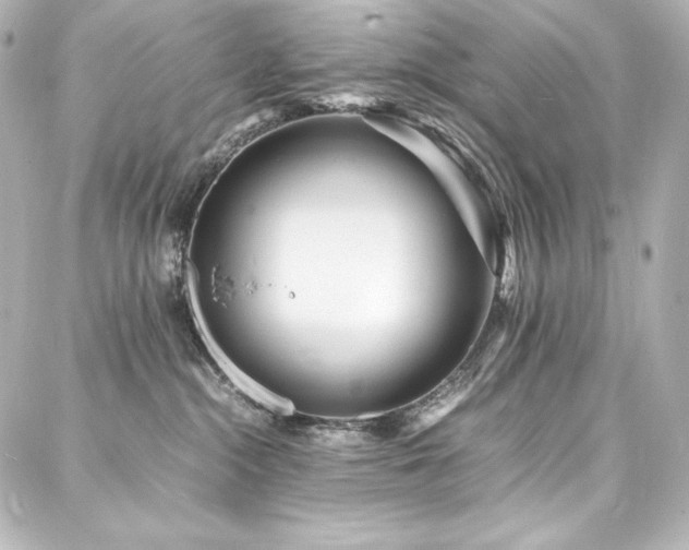 X0000088130284200705141450