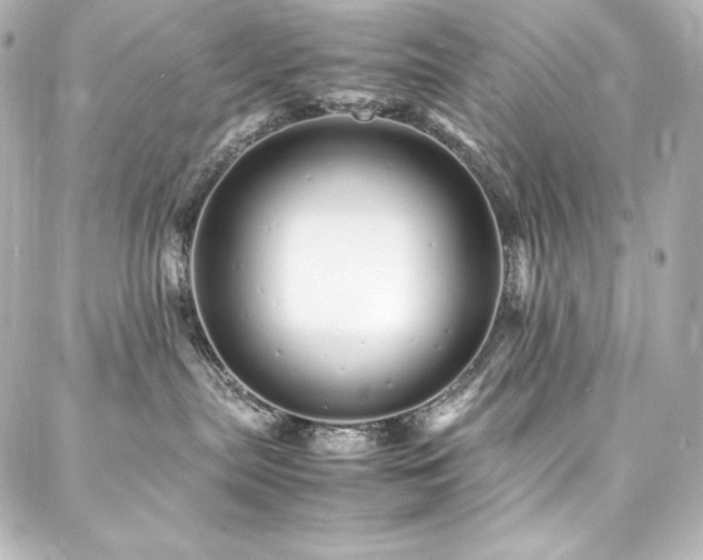 X0000088130287200705141450