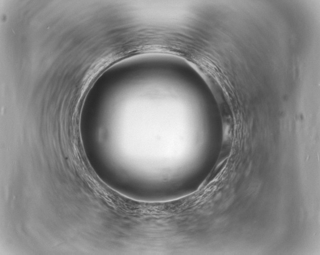X0000088130289200705141449