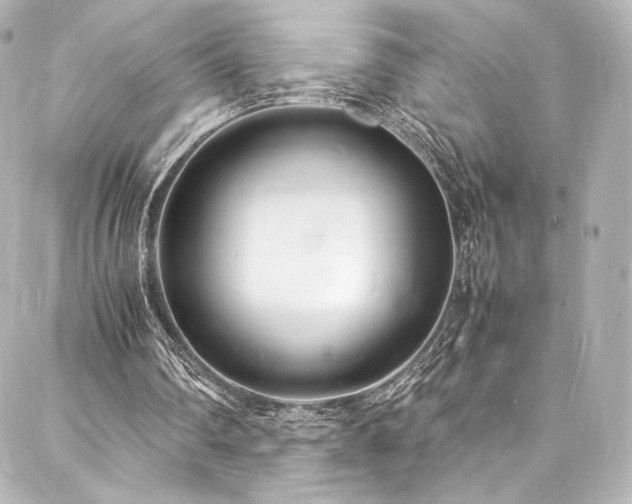 X0000088130290200705141449