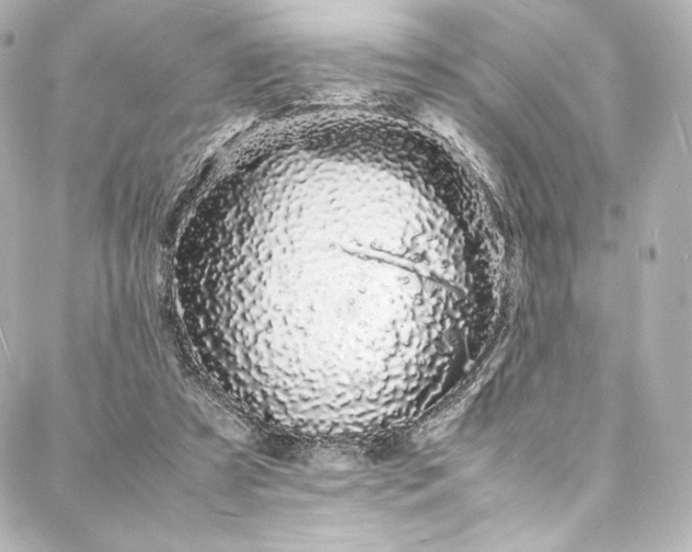X0000088130305200705141449