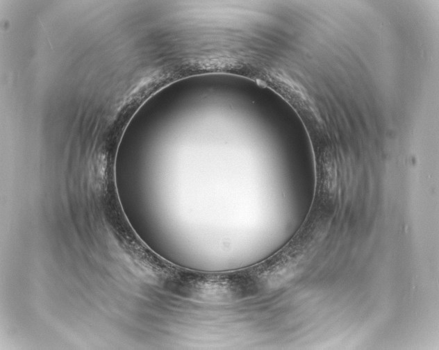 X0000088130308200705141449