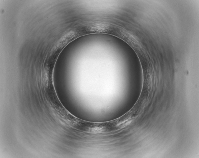 X0000088130312200705141449