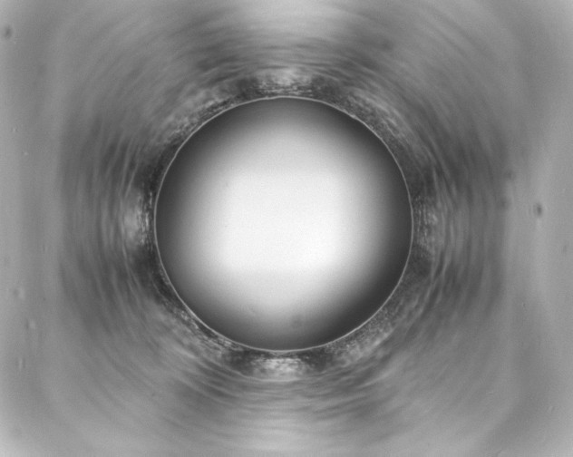 X0000088130324200705141448