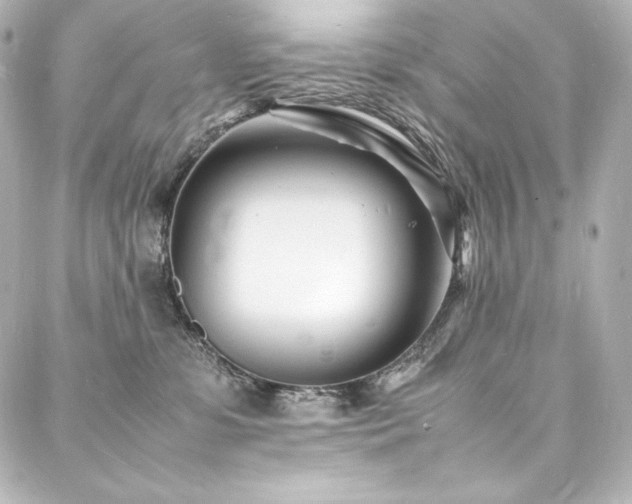 X0000088130331200705141448