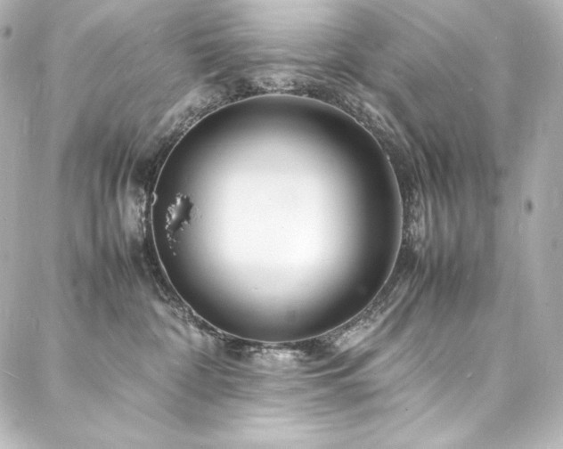 X0000088130332200705141448