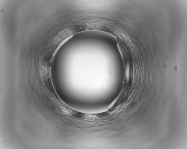X0000088130333200705141448