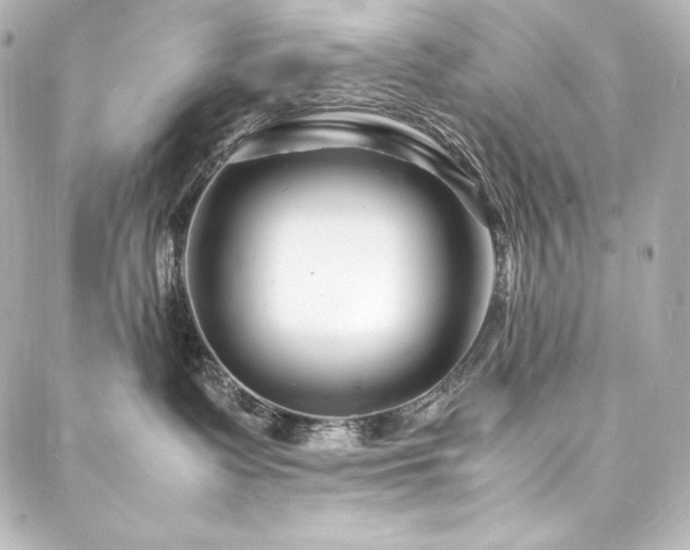 X0000088130335200705141448