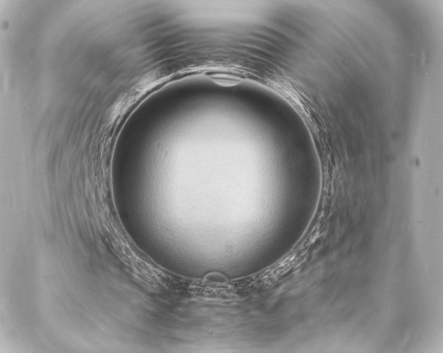 X0000088130337200705141447
