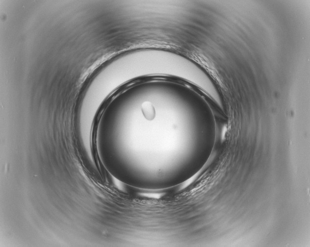 X0000088130348200705141448