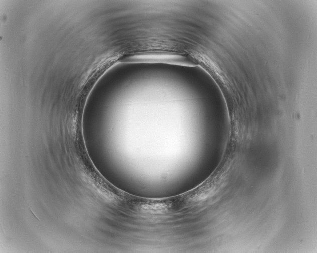X0000088130357200705141448